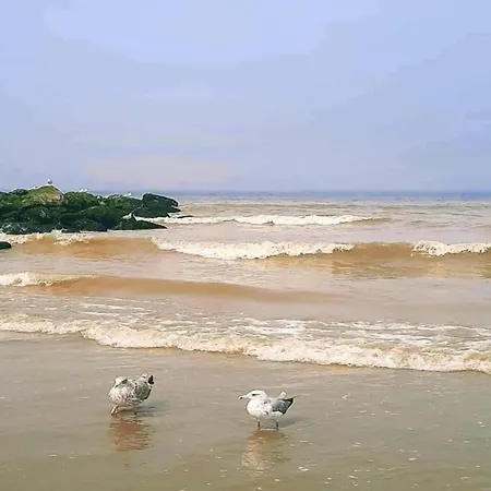 In Near The Beach, Cleaning Included